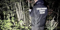 Фото: СУ СК РФ по Вологодской области - Вологда-поиск