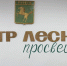 Михаил Ратнер открыл Центр лесного просвещения Томской области - Департамент лесного хозяйства