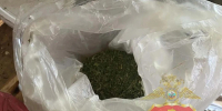 В Заокском районе у 35-летней женщины изъяли 160 граммов марихуаны - Комсомольская Правда