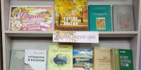 Выставка-панорама “С любовью к родному краю” - Библиотеки Тамбовской области