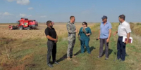 Глава Пролетарского района контролирует процесс уборки технических культур - Пролетарский район