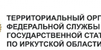 Выборочное наблюдение условий жизни населения организовали в Иркутске - Baikal24.Ru