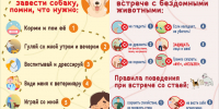 Мы в ответе за тех, кого приручили - Кадыйский район