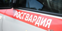 Росгвардейцы задержали в Каменске-Уральском водителя иномарки, сбившего байкеров - КП Екатеринбург