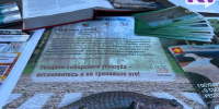 Редкий сибирский углозуб вывел потомство на дачах под Сыктывкаром, ученые попросили жителей сохранить водоем - ИА Комиинформ
