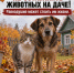 Планируете уехать с дачи? Обязательно заберите любимца с собой! - Управление ветеринарии