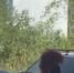 Буйная нижегородка с тяжелым молотом разгромила автомобилей во дворе на проспекте Ленина - ProGorodNN.Ru