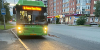 Тюменцы совершили 25 тысяч поездок в автобусах по льготной цене за 10 дней - Комсомольская правда