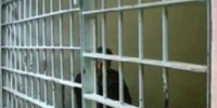 Проект «Выход 31» расскажет вологодским подросткам и их родителям, как не стать соучастником преступления - Газета Наша жизнь