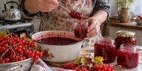 1 кг калины — и вкусные заготовки на зиму готовы: 4 рецепта и никакой горечи - Pg11.Ru