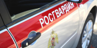 На дорогах Мордовии росгвардейцами выявлены два факта управления авто лицами, находившимися в состоянии алкогольного опьянения - Росгвардия