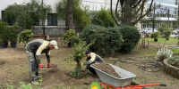 В Лазаревском районе Сочи благоустраивают сквер перед кинотеатром «Восход» - Sochi24.tv