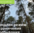 Режим ограничения пребывания граждан в лесах продлен до 15 октября - Минприроды Ростовской области