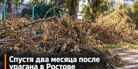 Спустя два месяца после урагана в Ростове жители СЖМ живут среди завалов из сломанных деревьев - Bloknot-Rostov.Ru