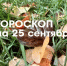 Гороскоп на 25 сентября 2026 года: день благоприятен для бизнеса, финансовых операций, поиска инвесторов - Teleport2001.Ru