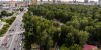 До +12 градусов и без дождей: какая погода ждет Новосибирск в выходные - Сиб.фм