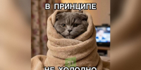 Пора доставать одеяла. В регион идут заморозки до -5 - 31TV.RU
