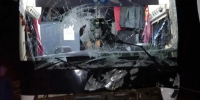Рейсовый автобус с 15 пассажирами сбил лося у Доможирово - 47 новостей