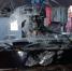 В Лодейнопольском районе рейсовый автобус сбил лося - tvspb.ru - ТК Санкт-Петербург