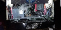 В Лодейнопольском районе рейсовый автобус сбил лося - tvspb.ru - ТК Санкт-Петербург