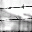 В Германии расследуют дело 105-летнего охранника лагеря советских военнопленных - РТВ-Подмосковье