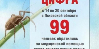 Изображение из канала Управления Роспотребнадзора по Псковской области в мессенджере MAX - InformPskov.Ru