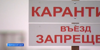 "Всех на контроль": в Приморье усилены меры безопасности из-за опасной заразы - ГТРК Владивосток