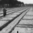 Через лагерь прошли около 300 тысяч военнопленных | Источник: Fred Ramage / AP Photo - 29.Ru