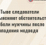 В Туве после гибели мужчины после нападения медведя возбуждено уголовное дело - ИА Тува-Онлайн