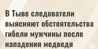В Туве после гибели мужчины после нападения медведя возбуждено уголовное дело - ИА Тува-Онлайн