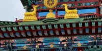 Зурхай на сегодня: стрижка волос – к процветанию - ВостокТелеИнформ