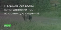 Поделитья во ВКонтакте - Братская Студия Телевидения