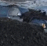 Toyota Surf застряла в морской капусте на Курилах - Sakhpress.Ru
