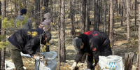 Сотрудники Минэкологии Якутии собрали ягель для питомцев зоопарка «Орто Дойду» - Минэкологии РС(Я)