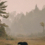 Нейросеть Midjourney - Cher-Poisk.Ru