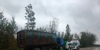 В Ломоносовском районе пресекли завоз отходов на несанкционированную свалку - 47Channel.Ru