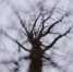 Друг семьи Усольцевых заявил, что их никогда не найдут - Вечерняя Москва