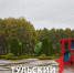 В Тулу пришла золотая осень: фоторепортаж - ТК Первый Тульский
