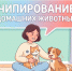 Уважаемые владельцы домашних животных! - Вяземский район