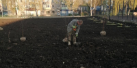 В Омутнинске идет озеленение парка - MyOmutninsk.Ru