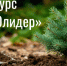 Конкурс ЭКОлидер" - Бикинский район