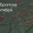 Поделитья во ВКонтакте - Братская Студия Телевидения