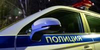 Агрессивный медведь пришел на пасеку в Октябрьском районе Красноярска - Комсомольская Правда