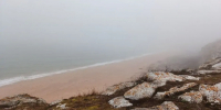 Учёные предполагают, что закрепиться в Азовском море водоросли помог рост солёности. Фото пресс-службы ЮНЦ РАН - DonNews.Ru