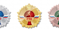 Смоленская область получила знаки отличия ГТО - О чём Говорит Смоленск