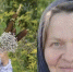В Вологодской области родители увезли дочь в неизвестном направлении, чтобы спасти от динозавров - ИА Порт Амур