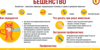 28 сентября – Всемирный день борьбы с бешенством. - Бабушкинский муниципальный округ