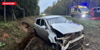 Водитель Opel съехала в кювет, чтобы не сбить лису - Псковская правда
