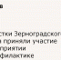 Подростки Зерноградского района приняли участие в мероприятии по профилактике негативных явлений - Зерноградский район