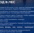 Безопасный поход в лес.. - Козульский район